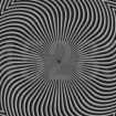 black-and-white-optical-illusion-1-1-758×413